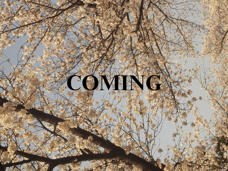 Director: Raghav Rampal Production Designer: Annika Kumar